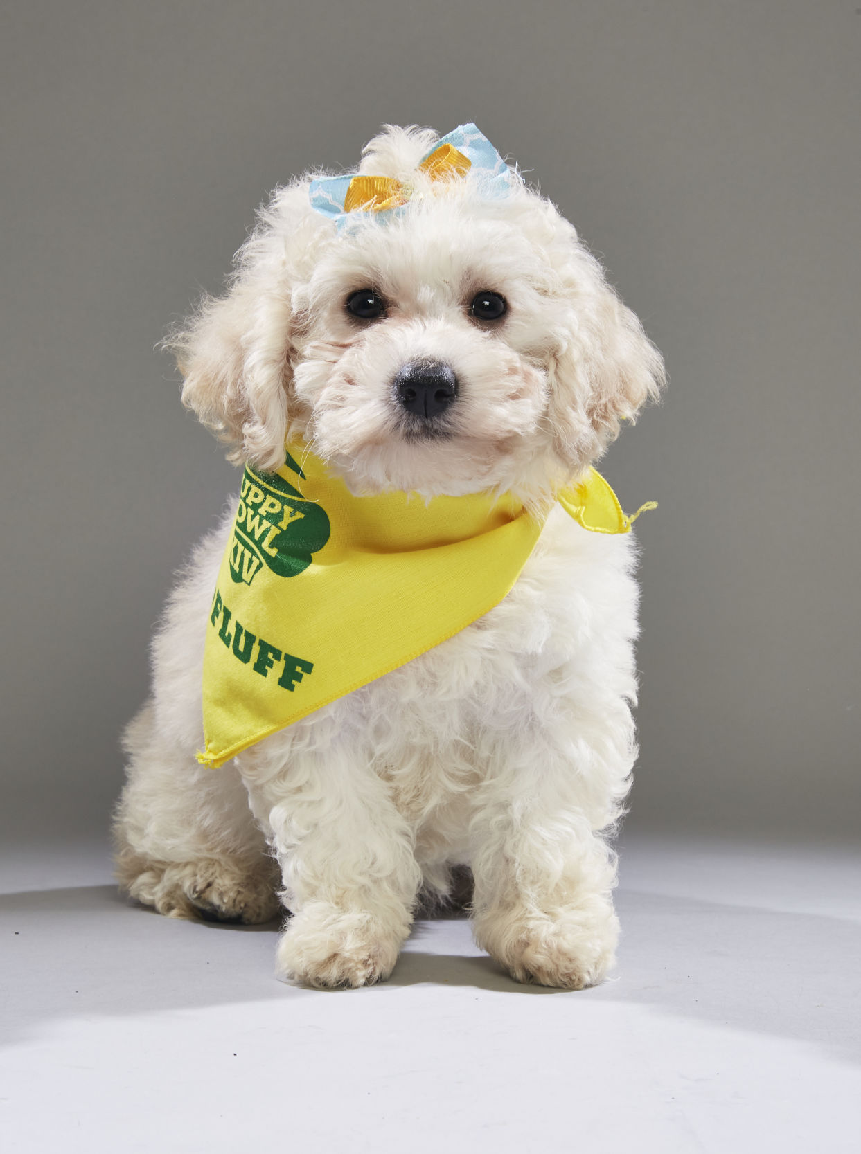 Joy (formerly known as Hamilton)